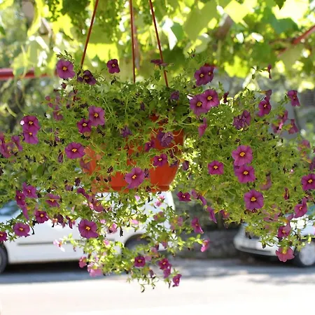 With A Parking Space Selce, Crikvenica - 5495 * Selce