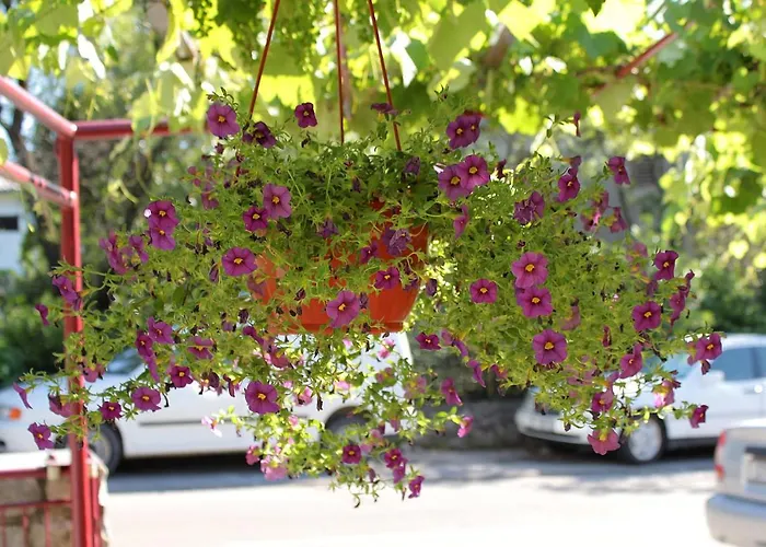 With A Parking Space Selce, Crikvenica - 5495 * Selce